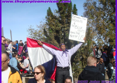 Image of attendee at Ralley To Restore Sanity by John L. Wood