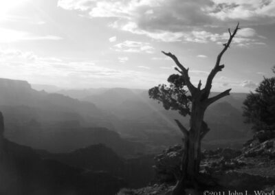 Image of wildfire smoke in Grand Canyon Black and White by John L. Wood