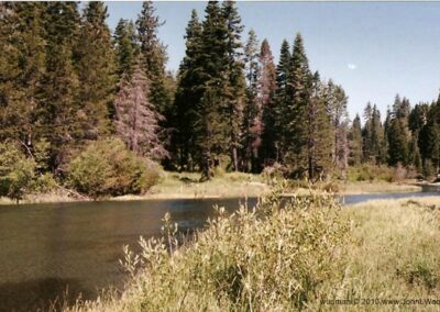 Image Little Truckee River North of Boca Reservoir by John L. Wood