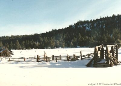 Image Snowy Cattle Chute Hwy 89 by John L. Wood
